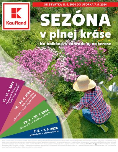 Katalóg Kaufland v Lučenec | SEZÓNA v plnej kráse  | 11. 4. 2024 - 7. 5. 2024