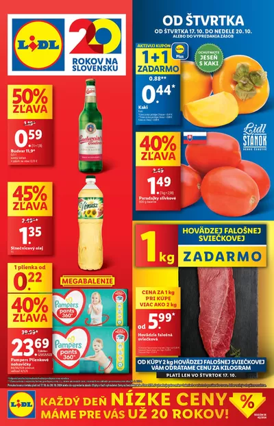 Katalóg Lidl v Gabčíkovo | Platný od štvrtka 17. 10. 2024 | 17. 10. 2024 - 20. 10. 2024