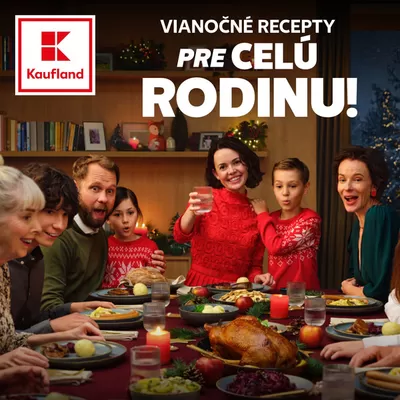 Katalóg Kaufland | Aktuálne výhodné ponuky a akcie | 15. 11. 2024 - 31. 12. 2024